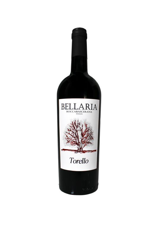 Irpinia Campi Taurasini  DOC "Torello"